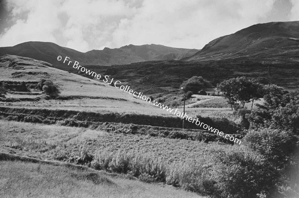 TEELIN ROAD   HAYMAKING SCENE